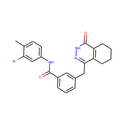 Cc1ccc(NC(=O)c2cccc(Cc3n[nH]c(=O)c4c3CCCC4)c2)cc1Br ZINC000167439769