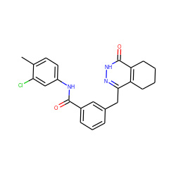 Cc1ccc(NC(=O)c2cccc(Cc3n[nH]c(=O)c4c3CCCC4)c2)cc1Cl ZINC000167834253