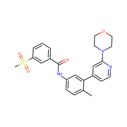 Cc1ccc(NC(=O)c2cccc(S(C)(=O)=O)c2)cc1-c1ccnc(N2CCOCC2)c1 ZINC000220623332