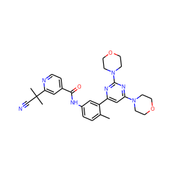 Cc1ccc(NC(=O)c2ccnc(C(C)(C)C#N)c2)cc1-c1cc(N2CCOCC2)nc(N2CCOCC2)n1 ZINC000220462785