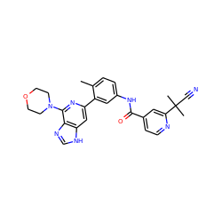 Cc1ccc(NC(=O)c2ccnc(C(C)(C)C#N)c2)cc1-c1cc2[nH]cnc2c(N2CCOCC2)n1 ZINC000220740714