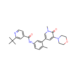 Cc1ccc(NC(=O)c2ccnc(C(C)(C)C)c2)cc1-c1cc(N2CCOCC2)c(=O)n(C)c1 ZINC000225978684