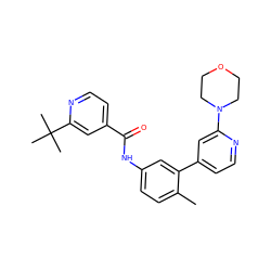 Cc1ccc(NC(=O)c2ccnc(C(C)(C)C)c2)cc1-c1ccnc(N2CCOCC2)c1 ZINC000220623153