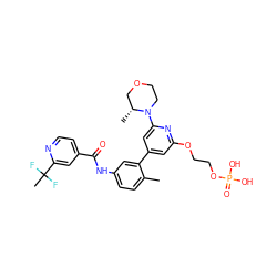 Cc1ccc(NC(=O)c2ccnc(C(C)(F)F)c2)cc1-c1cc(OCCOP(=O)(O)O)nc(N2CCOC[C@H]2C)c1 ZINC001772589658