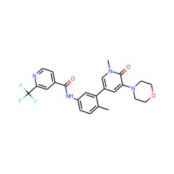 Cc1ccc(NC(=O)c2ccnc(C(F)(F)F)c2)cc1-c1cc(N2CCOCC2)c(=O)n(C)c1 ZINC000225998247