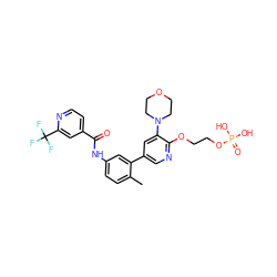 Cc1ccc(NC(=O)c2ccnc(C(F)(F)F)c2)cc1-c1cnc(OCCOP(=O)(O)O)c(N2CCOCC2)c1 ZINC001772621941