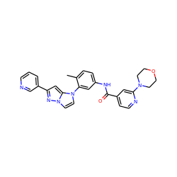 Cc1ccc(NC(=O)c2ccnc(N3CCOCC3)c2)cc1-n1ccn2nc(-c3cccnc3)cc12 ZINC000224243572