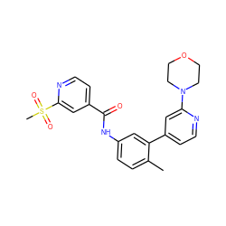 Cc1ccc(NC(=O)c2ccnc(S(C)(=O)=O)c2)cc1-c1ccnc(N2CCOCC2)c1 ZINC000220623505