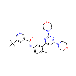 Cc1ccc(NC(=O)c2cncc(C(C)(C)C)c2)cc1-c1cc(N2CCOCC2)nc(N2CCOCC2)n1 ZINC000220463095