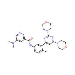 Cc1ccc(NC(=O)c2cncc(N(C)C)c2)cc1-c1cc(N2CCOCC2)nc(N2CCOCC2)n1 ZINC000220462972