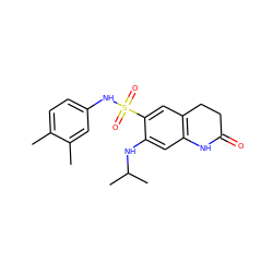 Cc1ccc(NS(=O)(=O)c2cc3c(cc2NC(C)C)NC(=O)CC3)cc1C ZINC000073196706