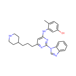 Cc1ccc(O)cc1Nc1cc(CCCC2CCNCC2)nc(-n2cnc3ccccc32)n1 ZINC000036187683