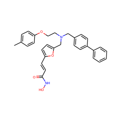 Cc1ccc(OCCN(Cc2ccc(-c3ccccc3)cc2)Cc2ccc(/C=C/C(=O)NO)o2)cc1 ZINC000096915097