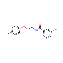 Cc1ccc(OCCNC(=O)c2cncc(Br)c2)cc1C ZINC000002171934