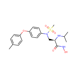 Cc1ccc(Oc2ccc(N(C[C@@H](NC(C)C)C(=O)NO)S(C)(=O)=O)cc2)cc1 ZINC000029039707