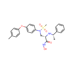 Cc1ccc(Oc2ccc(N(C[C@H](N[C@@H](C)c3ccccc3)C(=O)NO)S(C)(=O)=O)cc2)cc1 ZINC000096319063