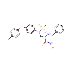 Cc1ccc(Oc2ccc(N(C[C@H](NCc3ccccc3)C(=O)NO)S(C)(=O)=O)cc2)cc1 ZINC000096319067