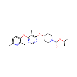 Cc1ccc(Oc2ncnc(OC3CCN(C(=O)OC(C)C)CC3)c2C)c(C)n1 ZINC000082152200