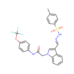 Cc1ccc(S(=O)(=O)N/N=C/c2cn(CC(=O)Nc3ccc(OC(F)(F)F)cc3)c3ccccc23)cc1 ZINC000096938671