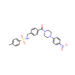 Cc1ccc(S(=O)(=O)NCc2ccc(C(=O)N3CCN(c4ccc([N+](=O)[O-])cc4)CC3)cc2)cc1 ZINC000015962750