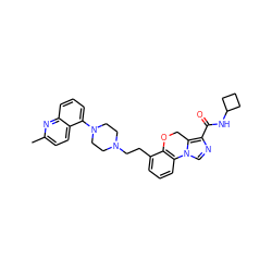 Cc1ccc2c(N3CCN(CCc4cccc5c4OCc4c(C(=O)NC6CCC6)ncn4-5)CC3)cccc2n1 ZINC000064516308