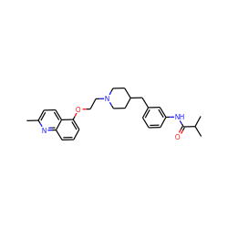 Cc1ccc2c(OCCN3CCC(Cc4cccc(NC(=O)C(C)C)c4)CC3)cccc2n1 ZINC000040974438