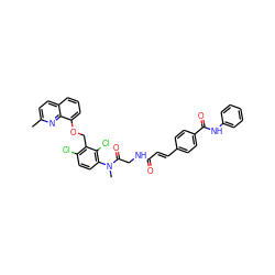 Cc1ccc2cccc(OCc3c(Cl)ccc(N(C)C(=O)CNC(=O)/C=C/c4ccc(C(=O)Nc5ccccc5)cc4)c3Cl)c2n1 ZINC000027406308