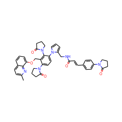 Cc1ccc2cccc(OCc3c(N4CCCC4=O)ccc(-n4cccc4CNC(=O)/C=C/c4ccc(N5CCCC5=O)cc4)c3N3CCCC3=O)c2n1 ZINC000027523421