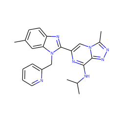 Cc1ccc2nc(-c3cn4c(C)nnc4c(NC(C)C)n3)n(Cc3ccccn3)c2c1 ZINC000209315446