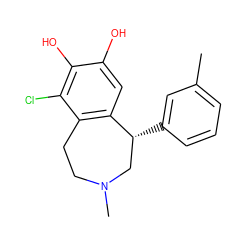 Cc1cccc([C@@H]2CN(C)CCc3c2cc(O)c(O)c3Cl)c1 ZINC000002511851