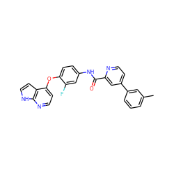 Cc1cccc(-c2ccnc(C(=O)Nc3ccc(Oc4ccnc5[nH]ccc45)c(F)c3)c2)c1 ZINC000653766332