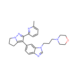 Cc1cccc(-c2nn3c(c2-c2ccc4ncn(CCCN5CCOCC5)c4c2)CCC3)n1 ZINC000028571351