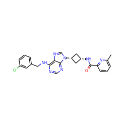 Cc1cccc(C(=O)N[C@H]2C[C@@H](n3cnc4c(NCc5cccc(Cl)c5)ncnc43)C2)n1 ZINC001772581062