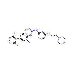 Cc1cccc(C)c1-c1cc(C)c2nc(Nc3cccc(OCCN4CCOCC4)c3)nnc2c1 ZINC000028702850