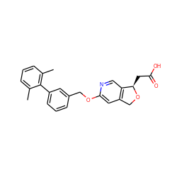 Cc1cccc(C)c1-c1cccc(COc2cc3c(cn2)[C@@H](CC(=O)O)OC3)c1 ZINC000116390202