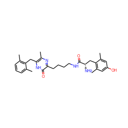 Cc1cccc(C)c1Cc1[nH]c(=O)c(CCCCNC(=O)[C@@H](N)Cc2c(C)cc(O)cc2C)nc1C ZINC000028825458