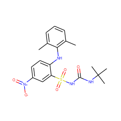 Cc1cccc(C)c1Nc1ccc([N+](=O)[O-])cc1S(=O)(=O)NC(=O)NC(C)(C)C ZINC000036190410