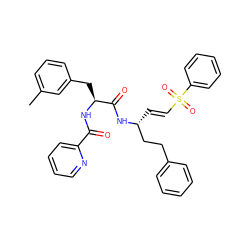 Cc1cccc(C[C@H](NC(=O)c2ccccn2)C(=O)N[C@H](/C=C/S(=O)(=O)c2ccccc2)CCc2ccccc2)c1 ZINC000029038542