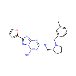 Cc1cccc(CN2CCC[C@@H]2CNc2nc(N)n3nc(-c4ccco4)nc3n2)c1 ZINC000013612459