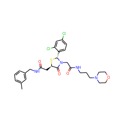 Cc1cccc(CNC(=O)C[C@H]2S[C@H](c3ccc(Cl)cc3Cl)N(CC(=O)NCCCN3CCOCC3)C2=O)c1 ZINC000029397837