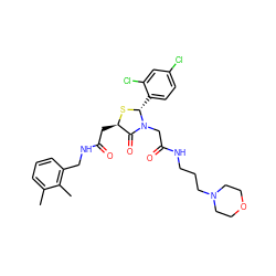 Cc1cccc(CNC(=O)C[C@H]2S[C@H](c3ccc(Cl)cc3Cl)N(CC(=O)NCCCN3CCOCC3)C2=O)c1C ZINC000029395472