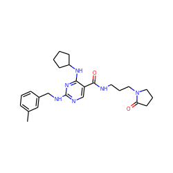 Cc1cccc(CNc2ncc(C(=O)NCCCN3CCCC3=O)c(NC3CCCC3)n2)c1 ZINC000095598436