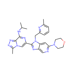 Cc1cccc(Cn2c(-c3cn4c(C)nnc4c(NC(C)C)n3)nc3cnc(N4CCOCC4)cc32)n1 ZINC000209315582