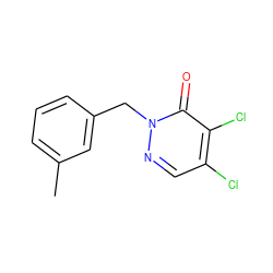 Cc1cccc(Cn2ncc(Cl)c(Cl)c2=O)c1 ZINC000000272413