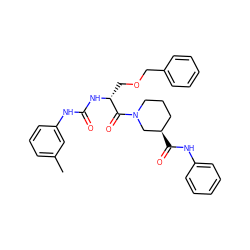 Cc1cccc(NC(=O)N[C@H](COCc2ccccc2)C(=O)N2CCC[C@@H](C(=O)Nc3ccccc3)C2)c1 ZINC000026828430