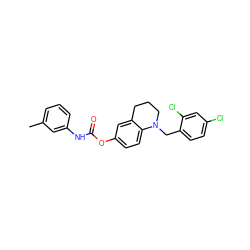 Cc1cccc(NC(=O)Oc2ccc3c(c2)CCCN3Cc2ccc(Cl)cc2Cl)c1 ZINC000095578363