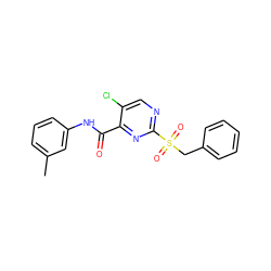 Cc1cccc(NC(=O)c2nc(S(=O)(=O)Cc3ccccc3)ncc2Cl)c1 ZINC000006748077