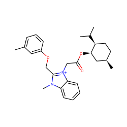 Cc1cccc(OCc2n(C)c3ccccc3[n+]2CC(=O)O[C@@H]2C[C@H](C)CC[C@@H]2C(C)C)c1 ZINC000006442685