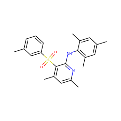 Cc1cccc(S(=O)(=O)c2c(C)cc(C)nc2Nc2c(C)cc(C)cc2C)c1 ZINC000028570196