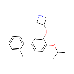 Cc1ccccc1-c1ccc(OC(C)C)c(OC2CNC2)c1 ZINC000096175903